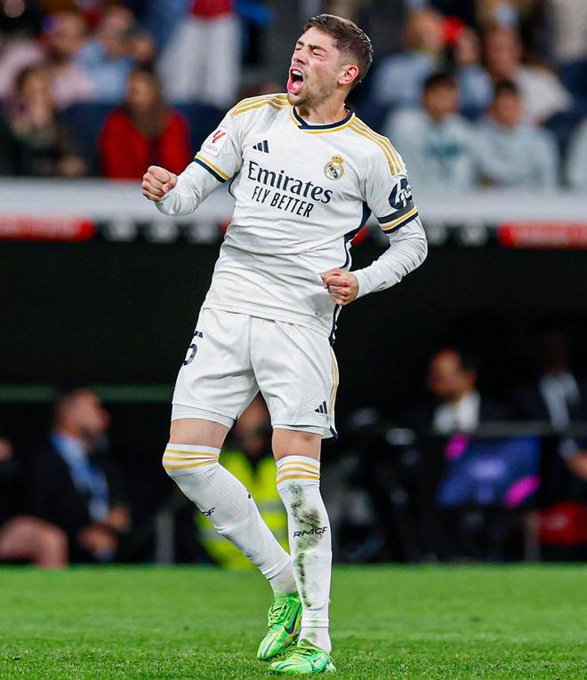 席和球迷席 席和球迷席